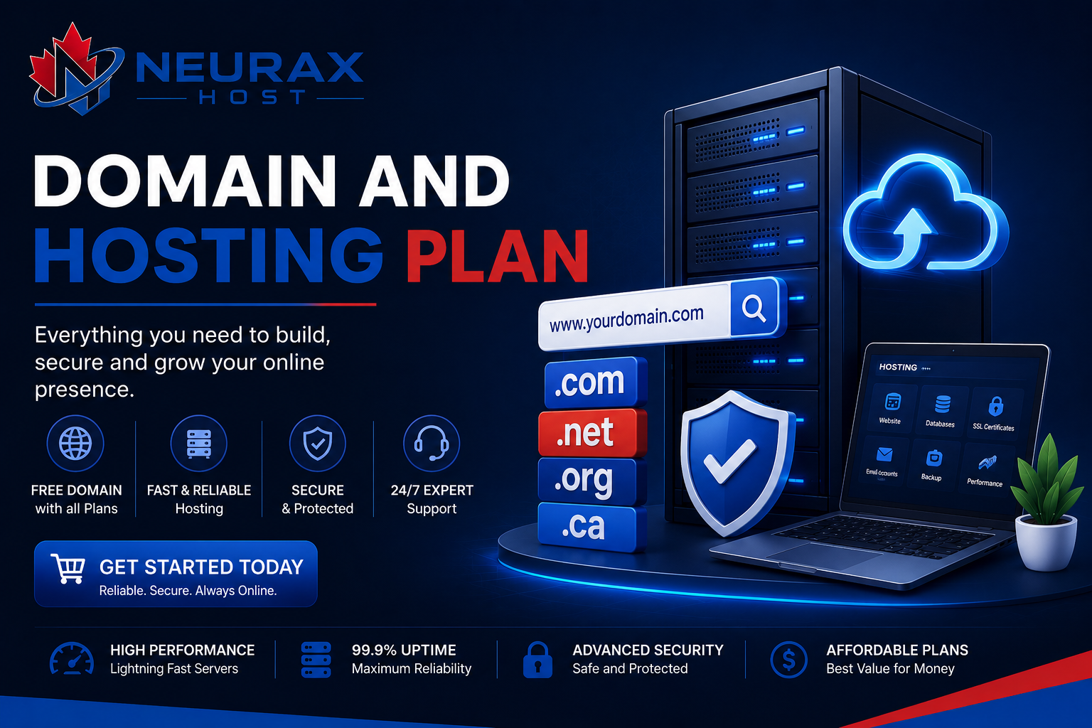 Domain and Hosting Plan