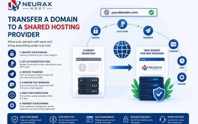 What Should You Know Before You Transfer a Domain to a Shared Hosting Provider?